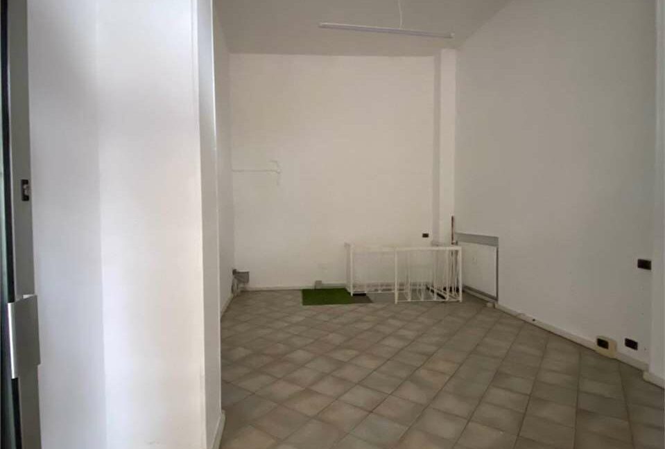 imm_31420-20250217115628-1280