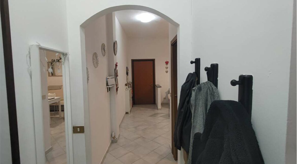 imm_31441-20250218195533-1280