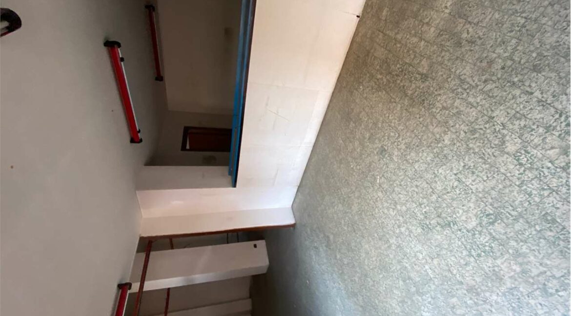 imm_33017-20251028104010-1280