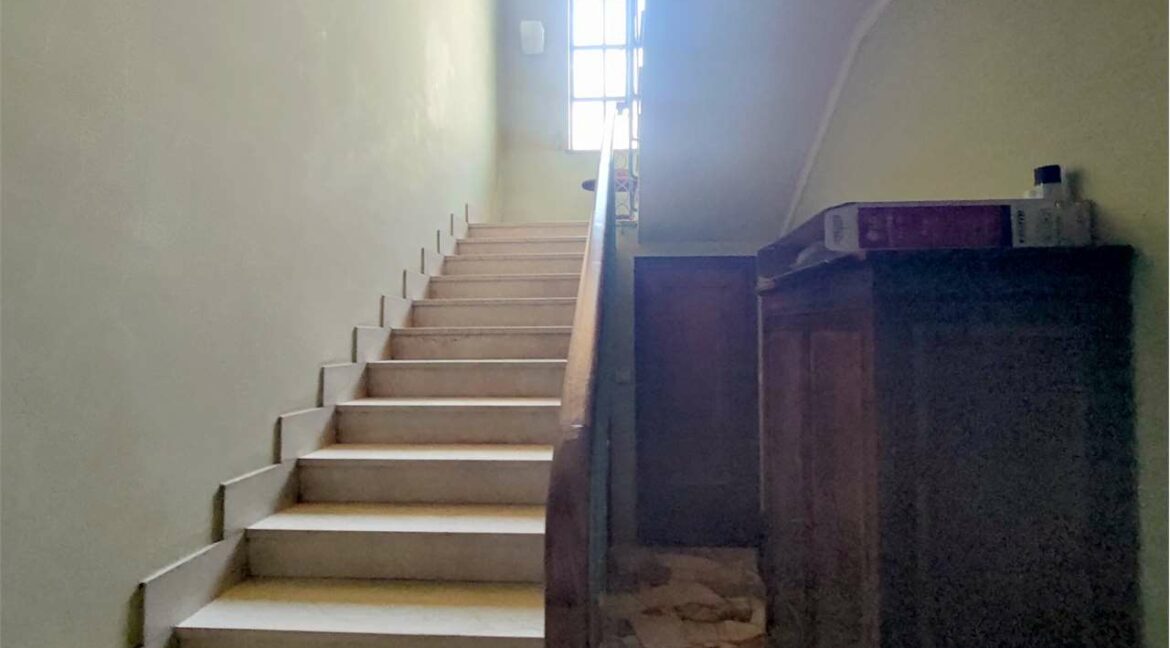 imm_33247-20251110175919-1280