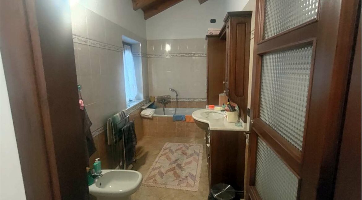 imm_33254-20251113181456-1280