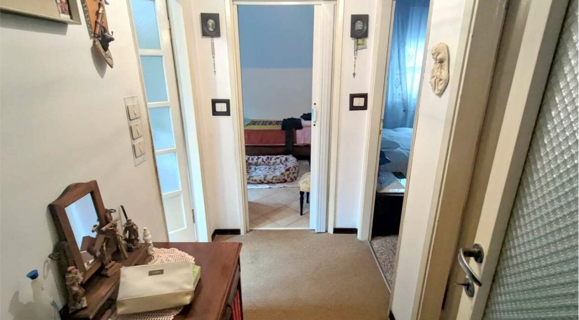 imm_33461-20260126120601-1280