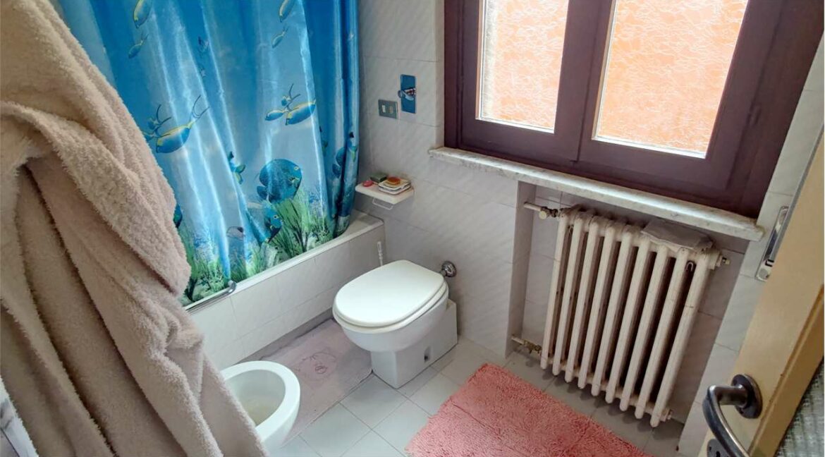 imm_33462-20260126120601-1280