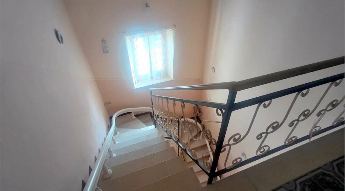 imm_33355-20251209184437-1280