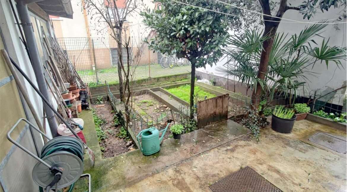 imm_33484-20260210112328-1280