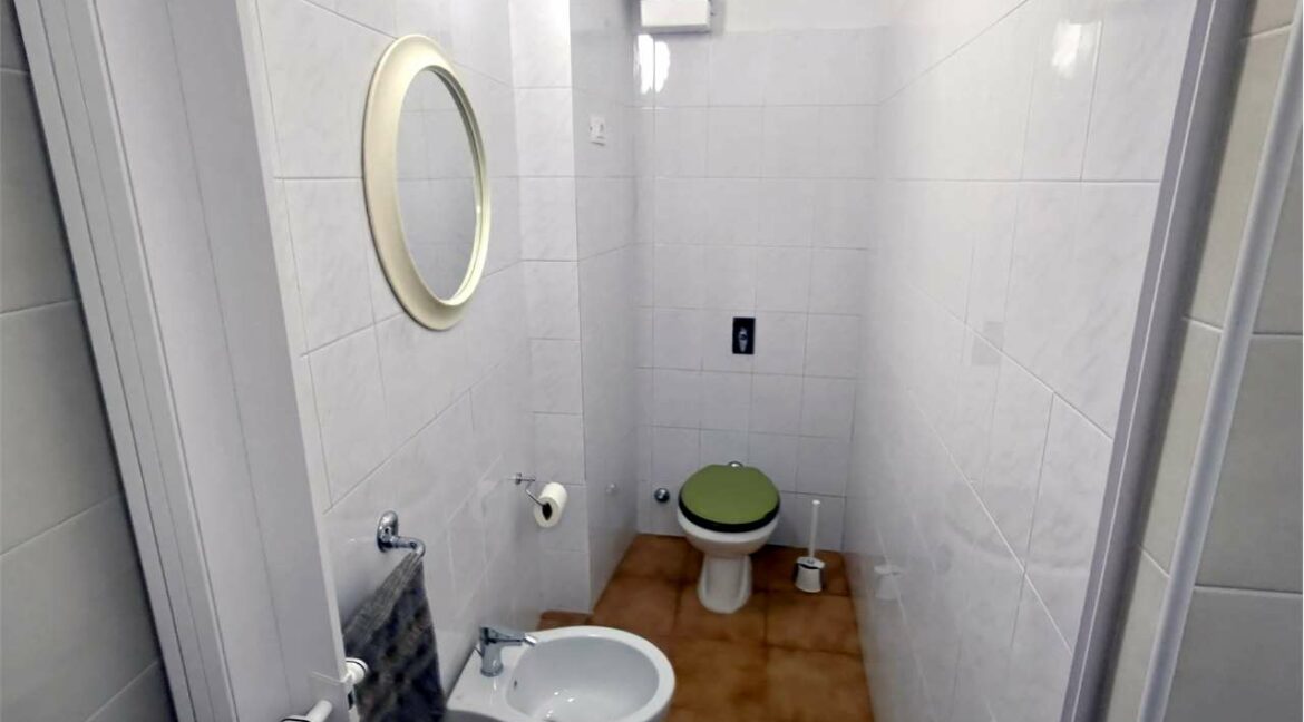 imm_33529-20260128111736-1280