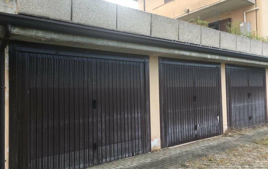 imm_33549-20260129175947-1024