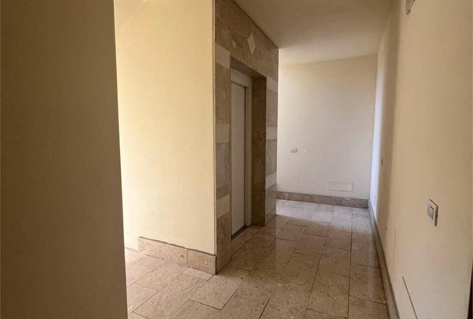 imm_33554-20260130102517-1280