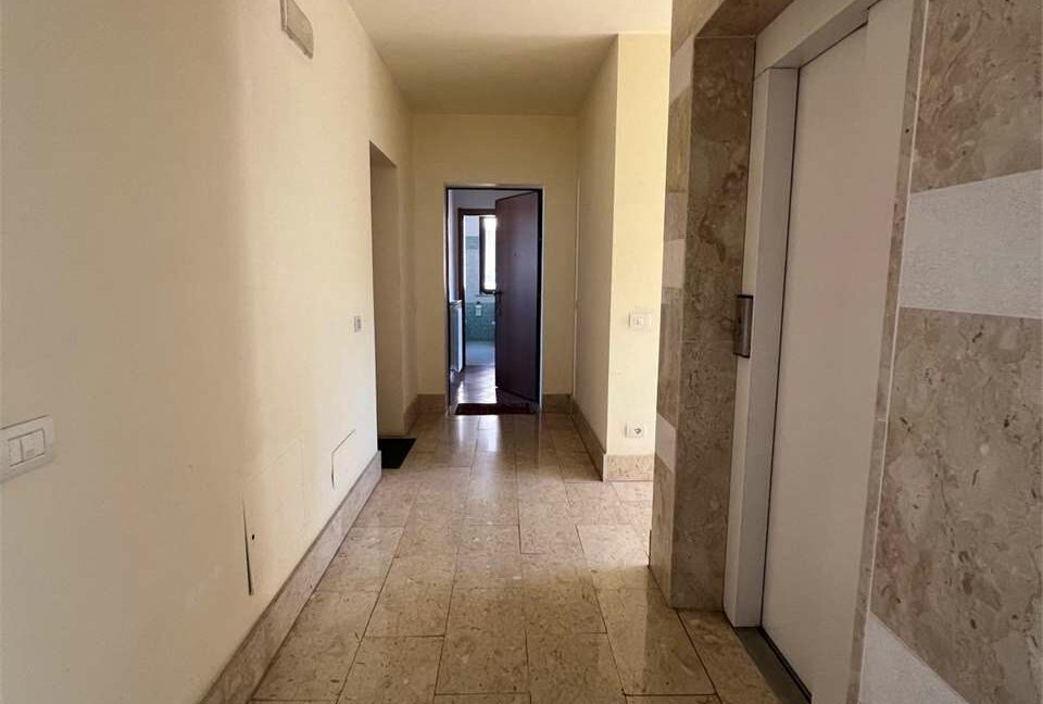 imm_33555-20260130102518-1280