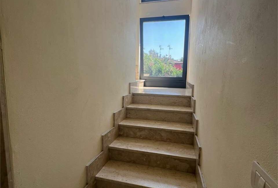 imm_33556-20260130102518-1280