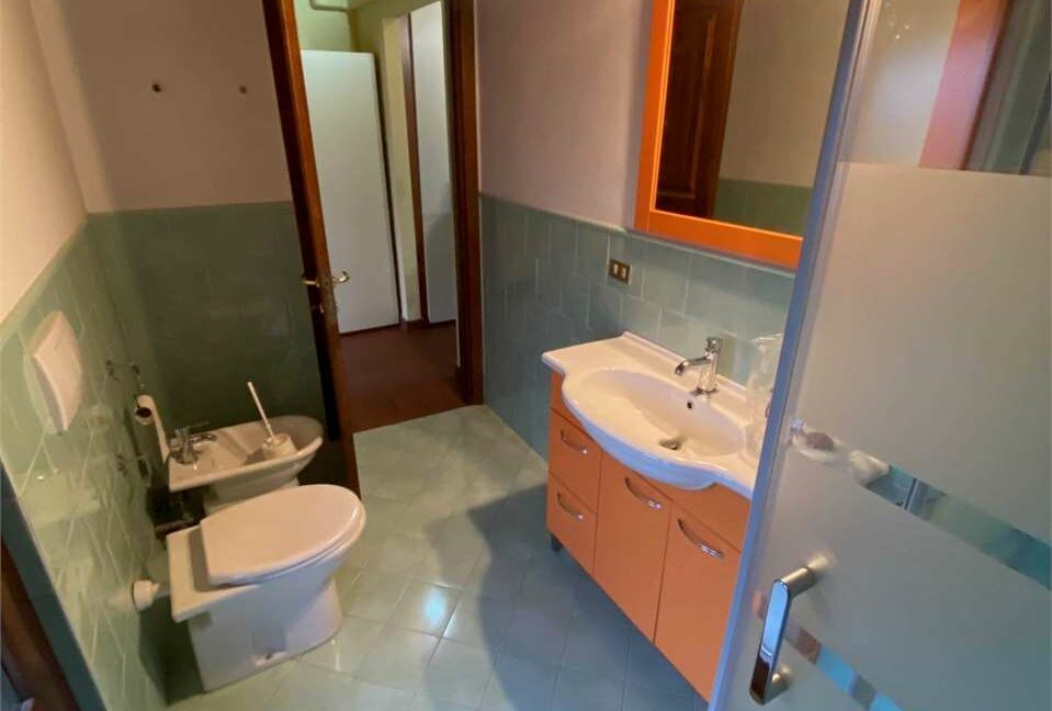 imm_33595-20260203185257-1280