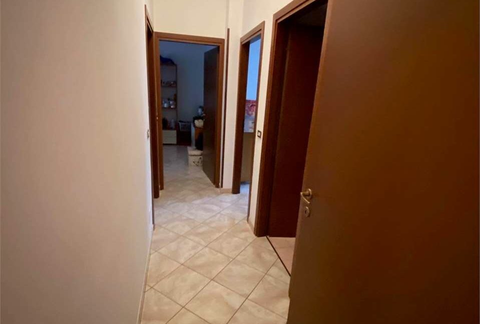 imm_33637-20260204123249-1280