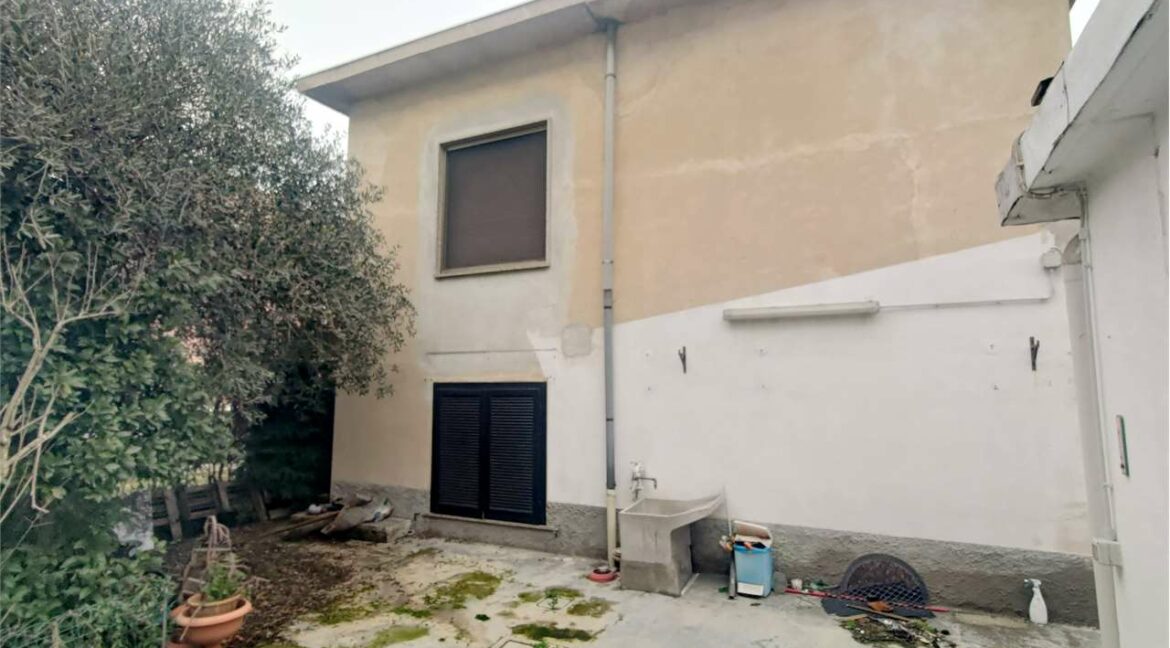 imm_33673-20260210112125-1280