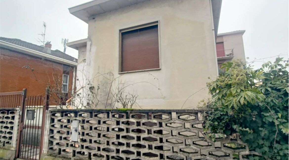 imm_33698-20260210112010-1280