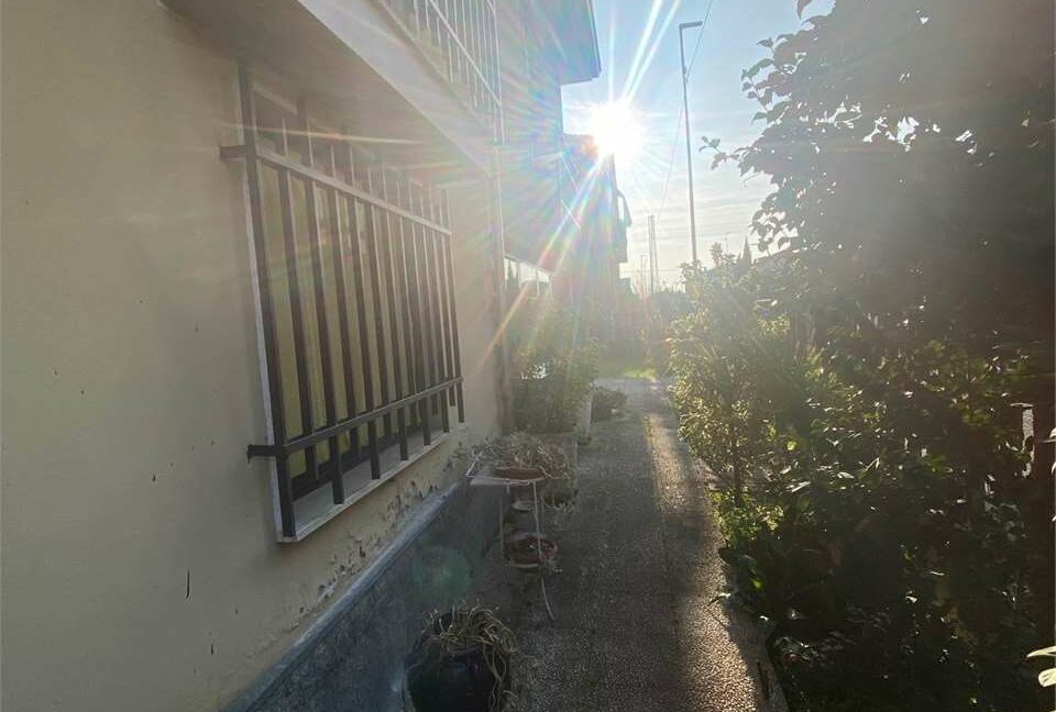 imm_33936-20260325185052-1280