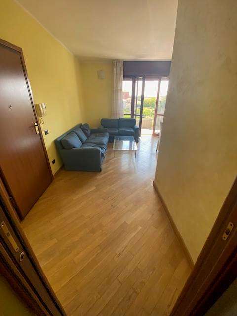 imm_30383-20240826122920-640