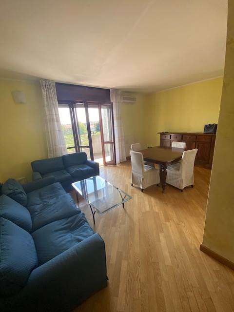 imm_30384-20240826122922-640