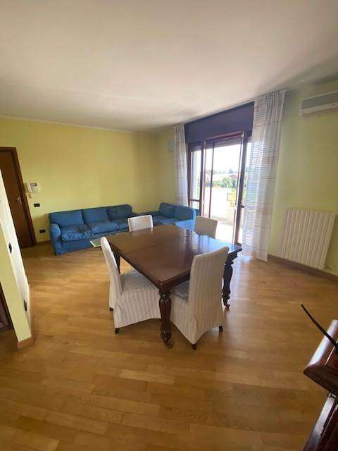 imm_30388-20240826122947-640