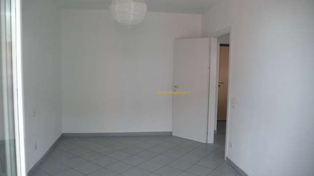 imm_8167-640
